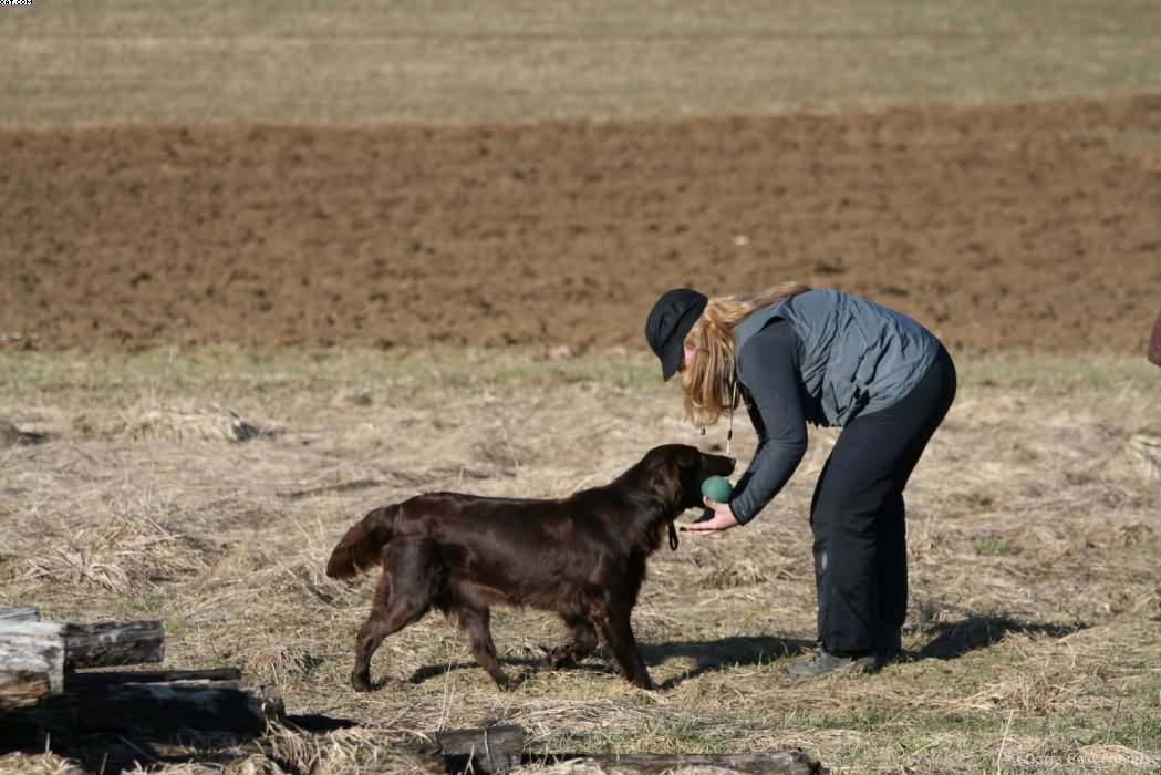 Img 1235943028 833 lg opt