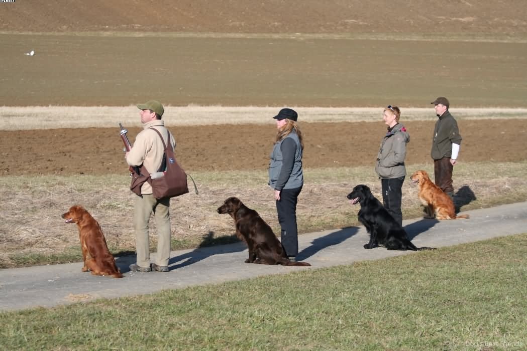 Img 1235943079 383 lg opt