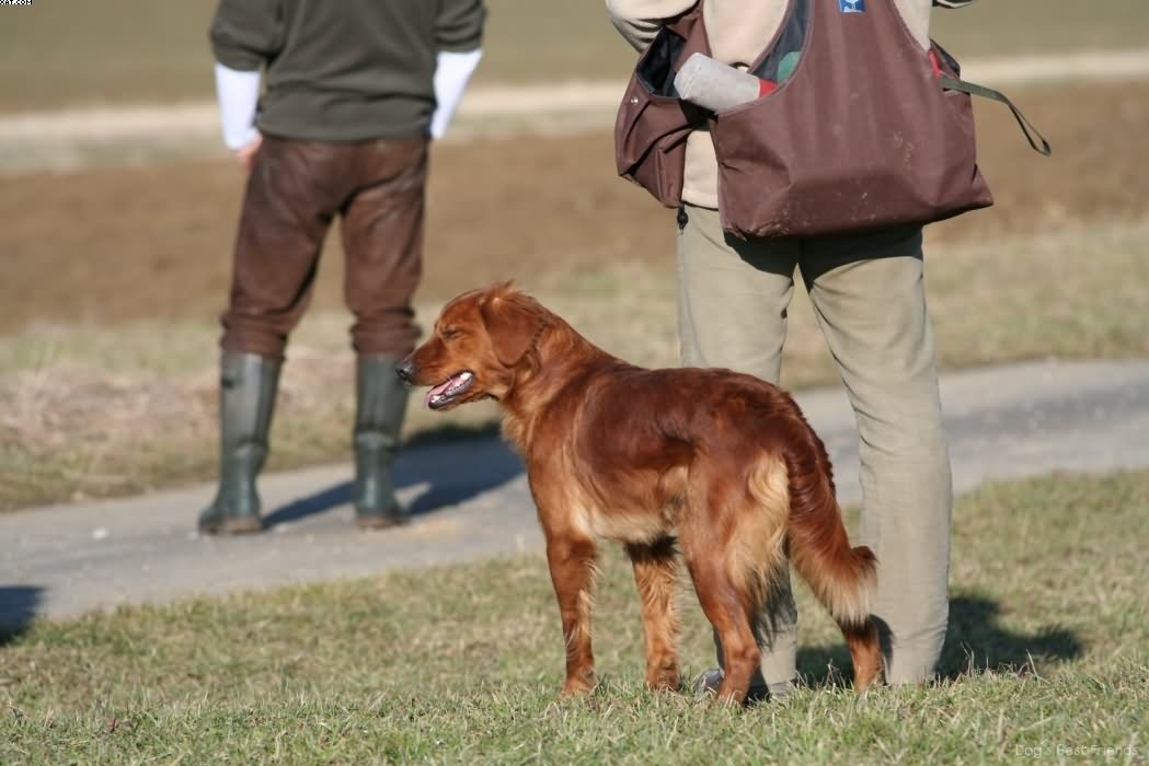 Img 1235943164 454 lg opt