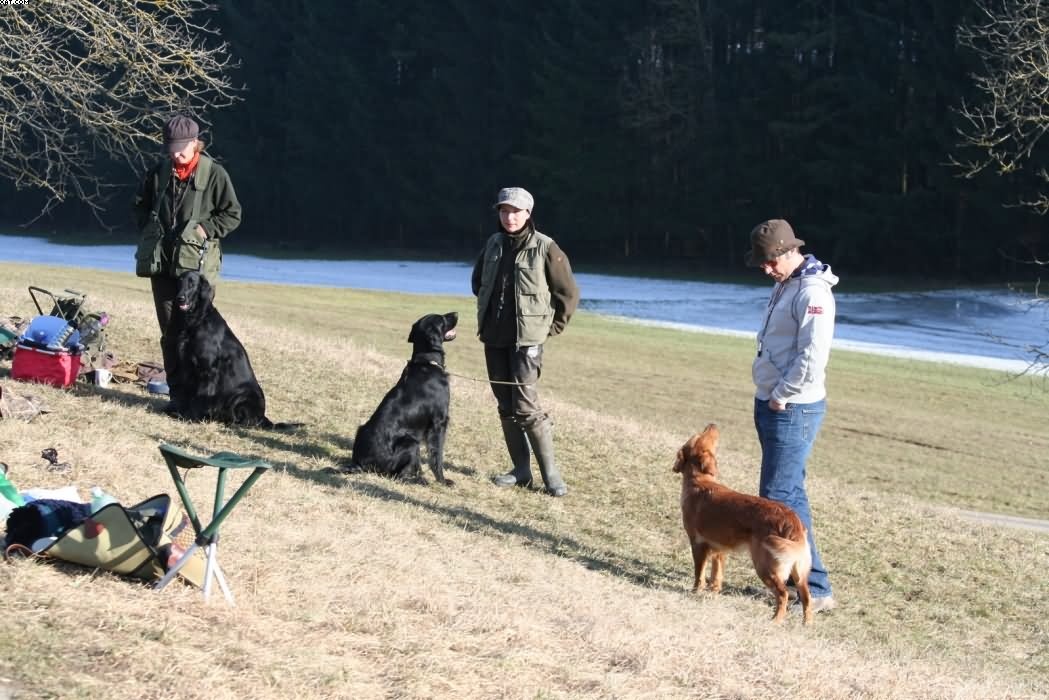 Img 1235943230 766 lg opt