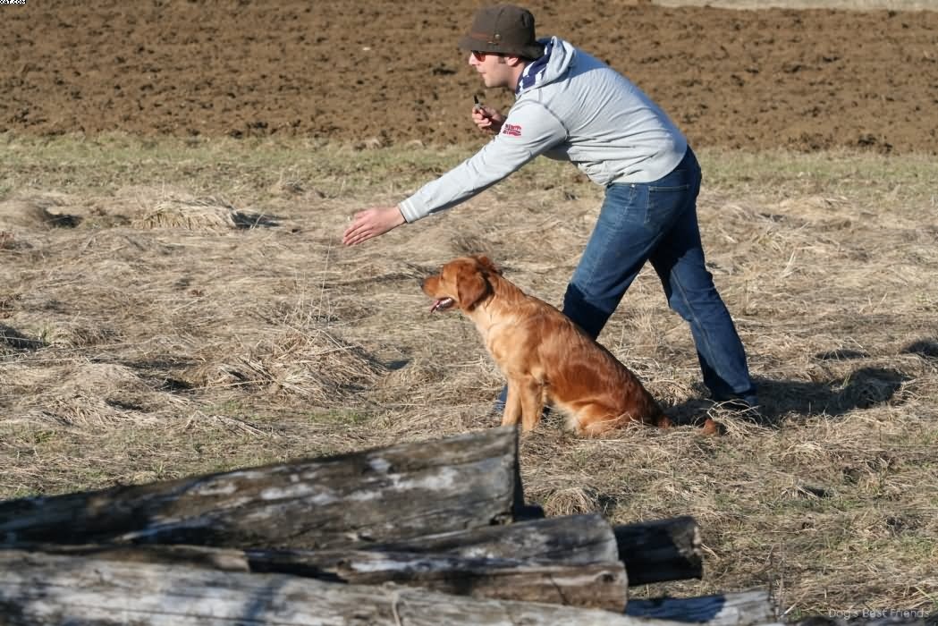 Img 1235943360 612 lg opt