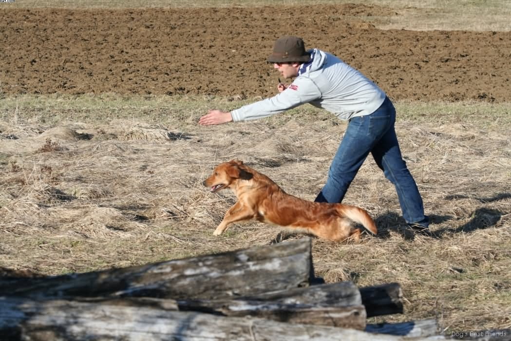 Img 1235943441 477 lg opt