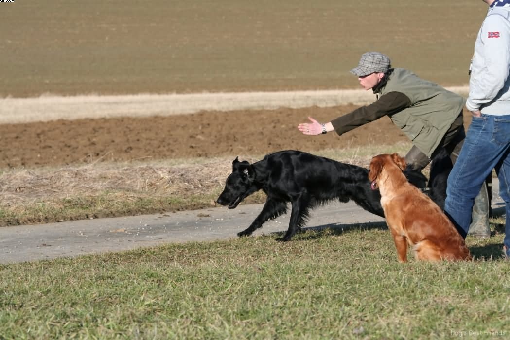 Img 1235943546 695 lg opt