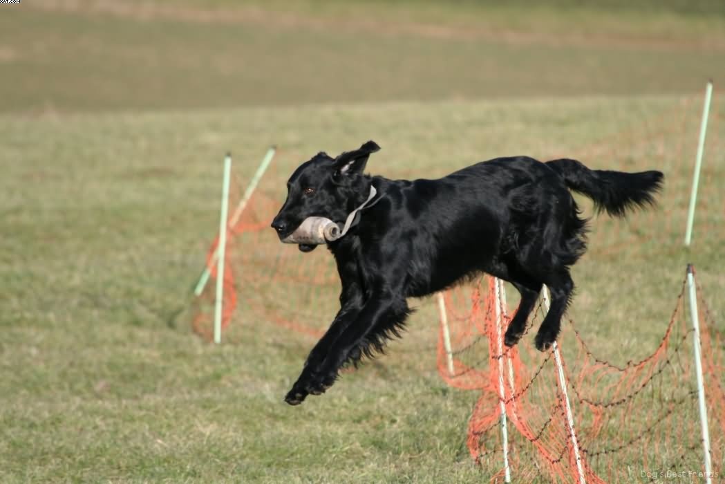 Img 1235943583 882 lg opt