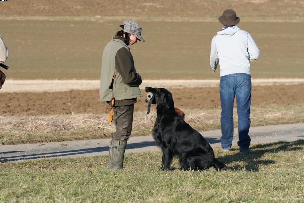 Img 1235943635 426 lg opt