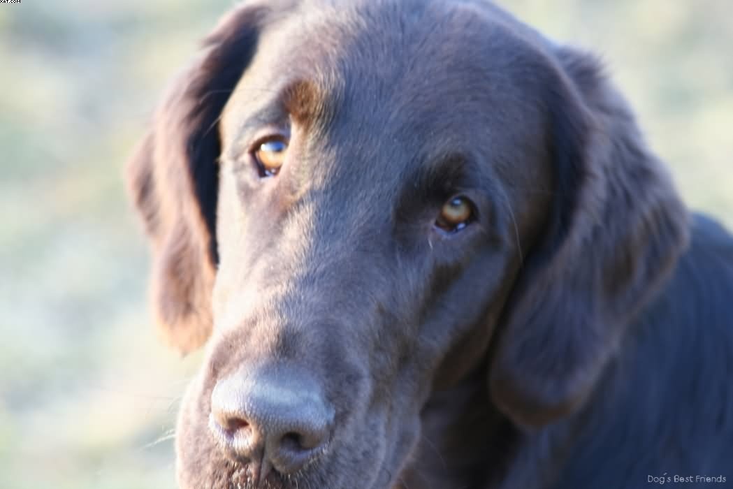 Img 1235943716 773 lg opt