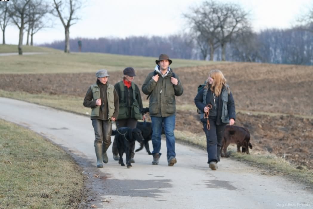 Img 1235943811 83 lg opt