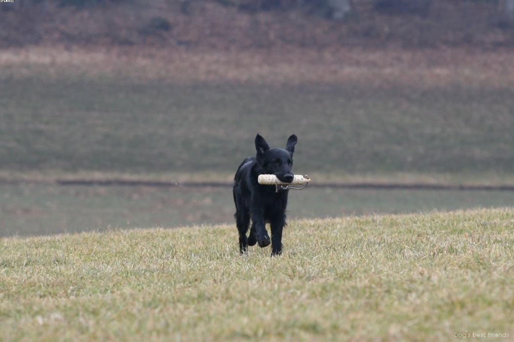 Img 1235944151 549 lg opt