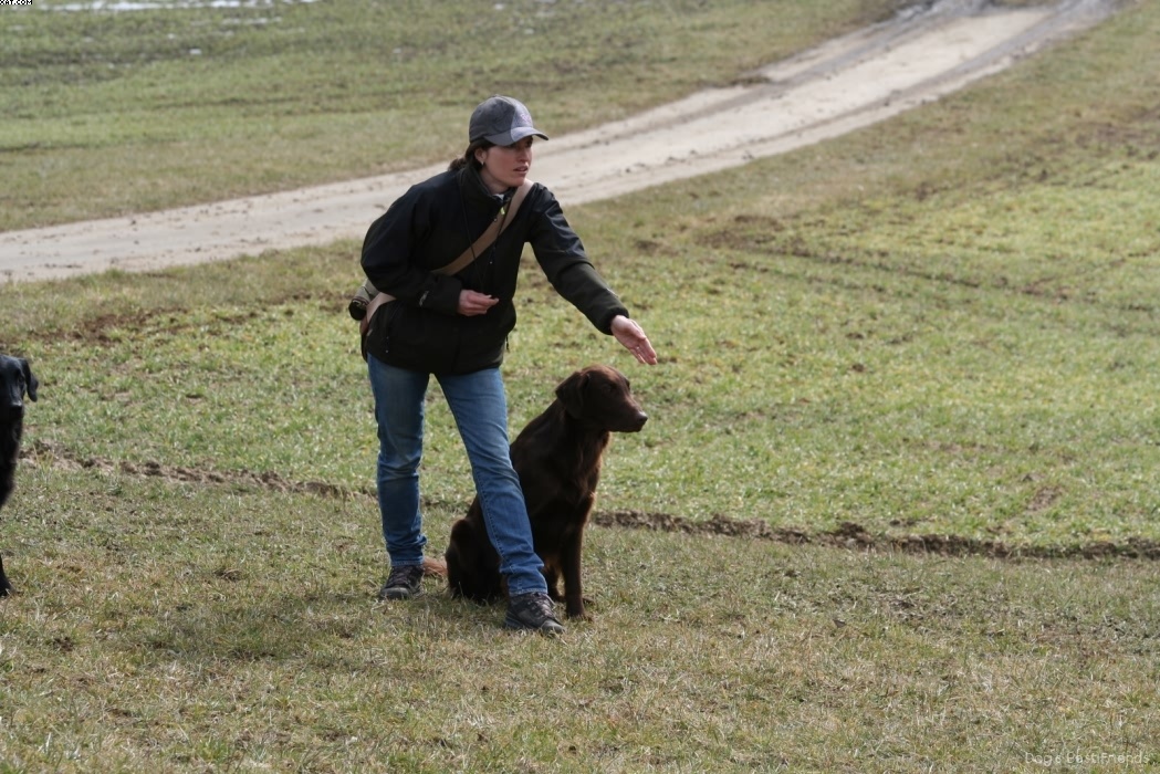 Img 1235944246 242 lg opt