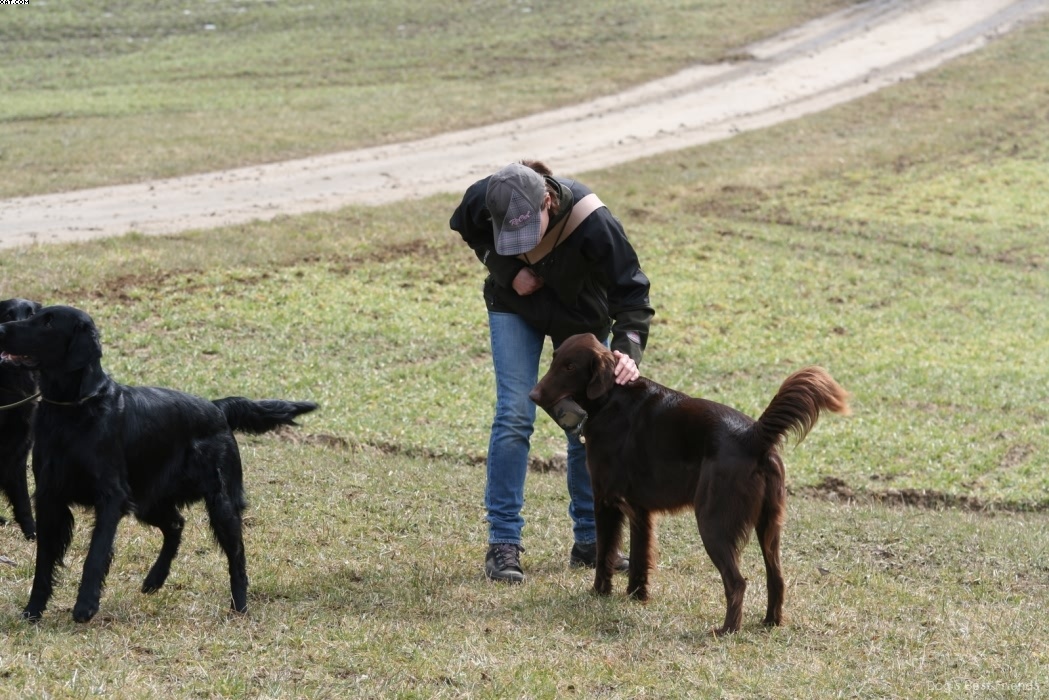 Img 1235944295 489 lg opt