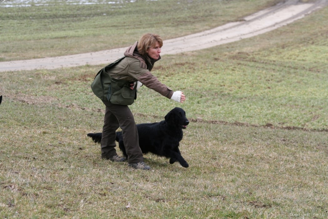 Img 1235944429 878 lg opt