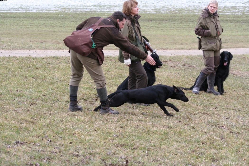 Img 1235944487 981 lg opt