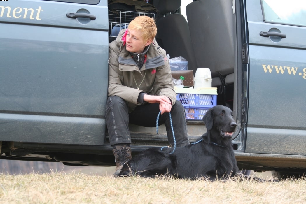 Img 1235944530 84 lg opt