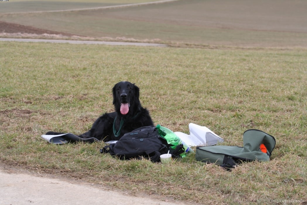 Img 1235944618 975 lg opt