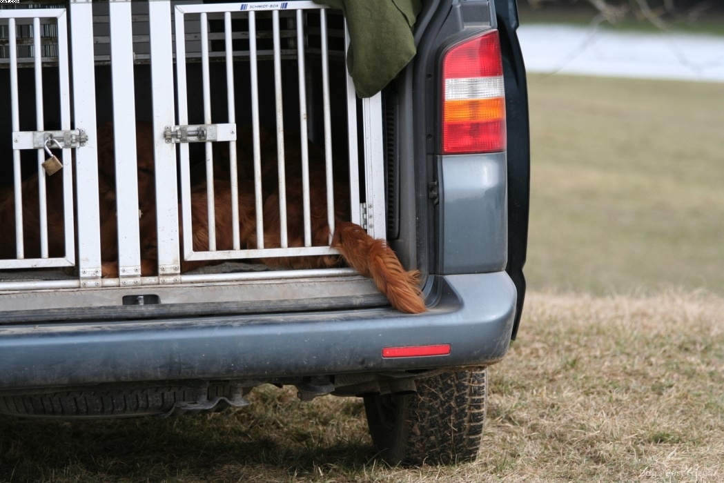 Img 1235944660 840 lg opt