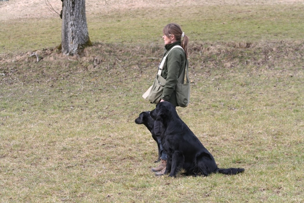 Img 1235944721 456 lg opt