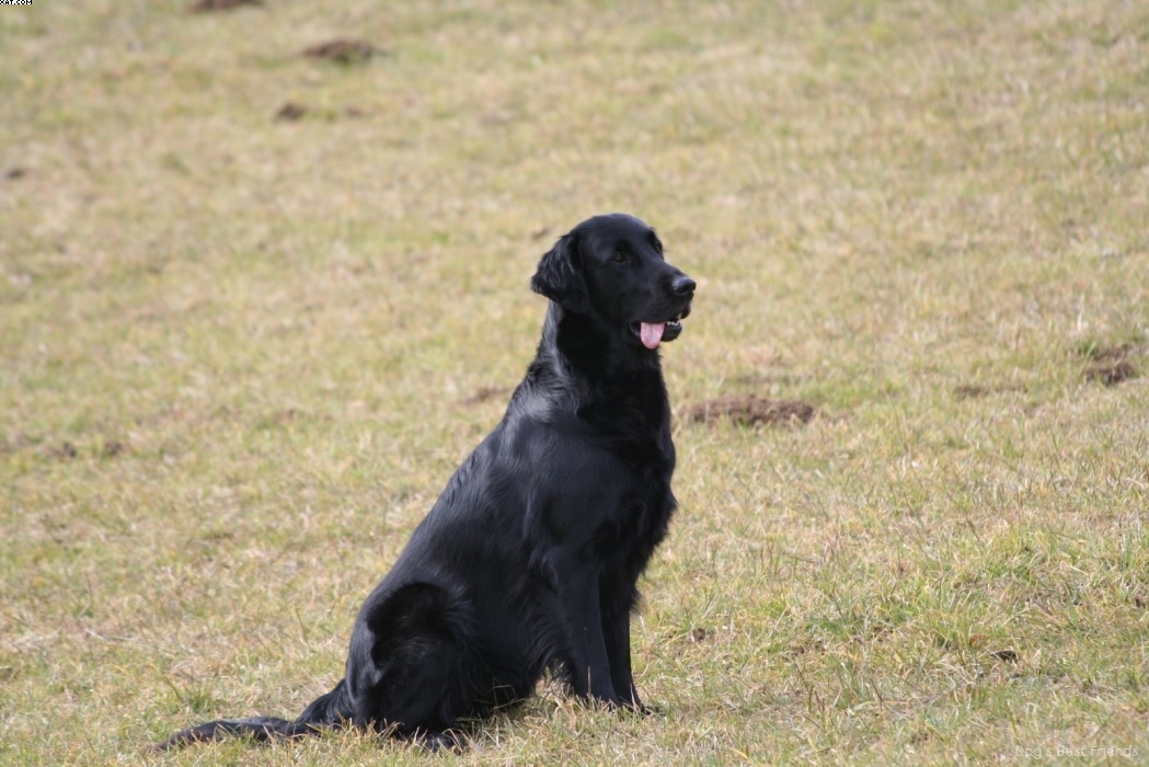 Img 1235944763 452 lg opt