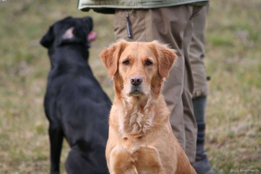 Img 1235944794 64 lg opt