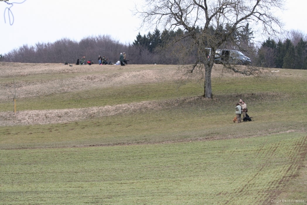 Img 1235944920 805 lg opt