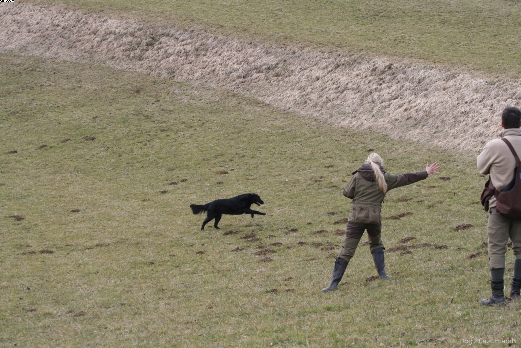 Img 1235944978 417 lg opt