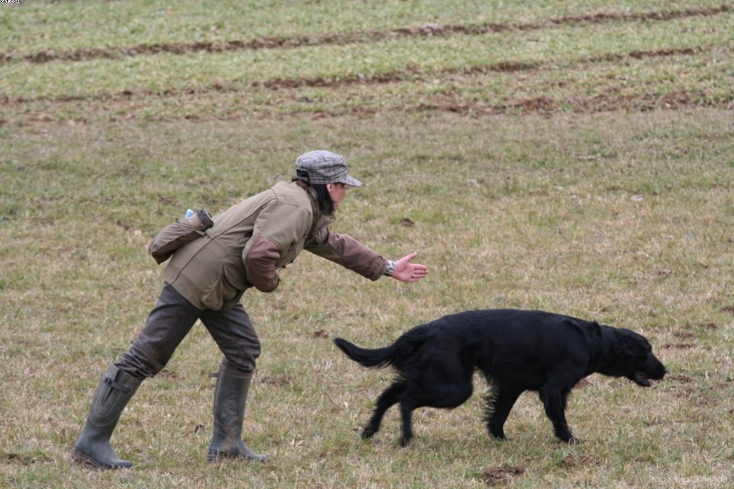 Img 1235945081 572 lg opt