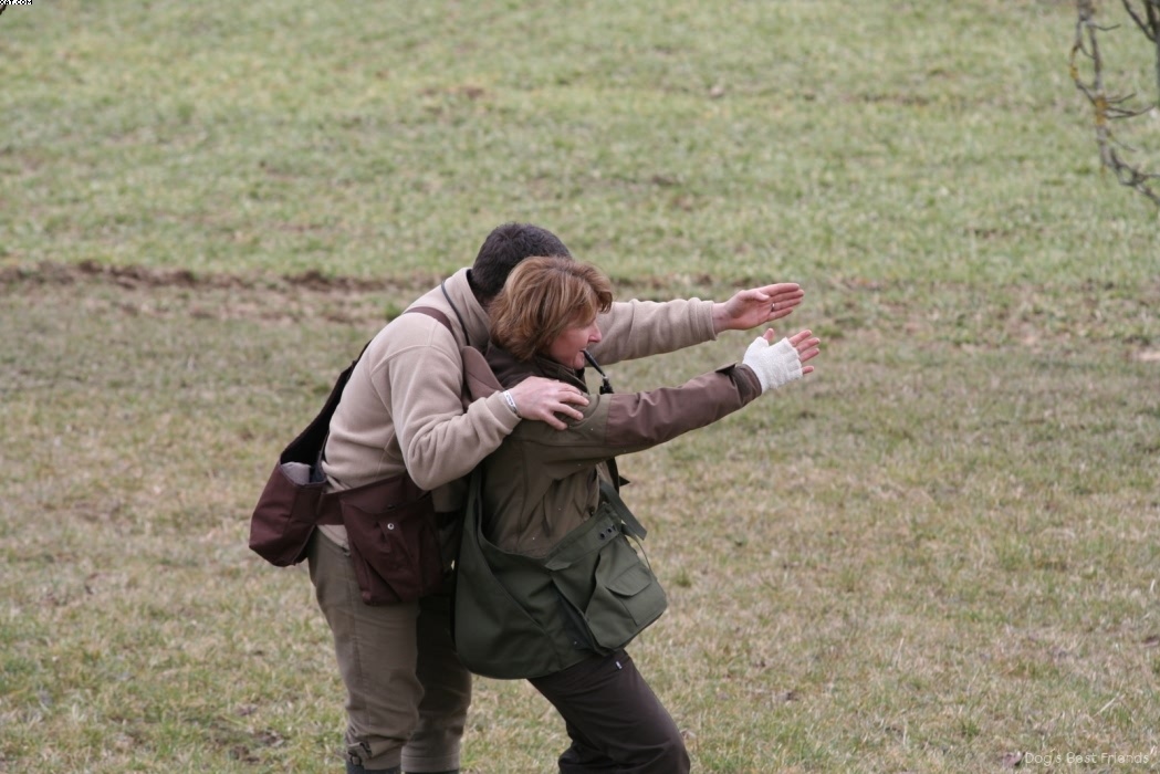 Img 1235945115 615 lg opt