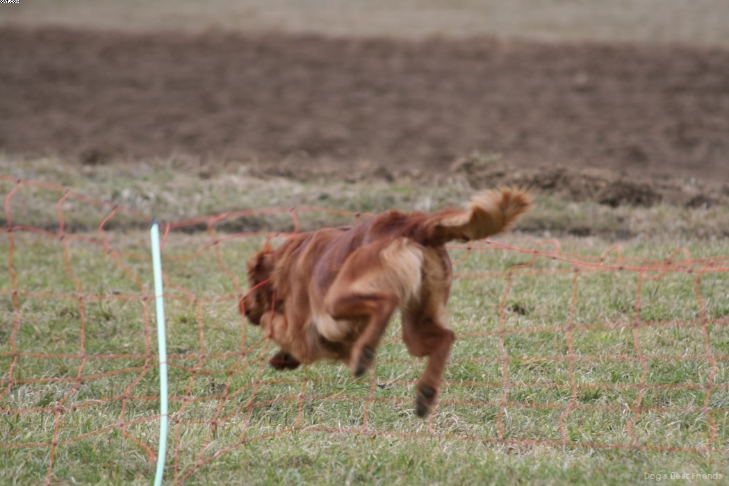 Img 1235945152 124 lg opt