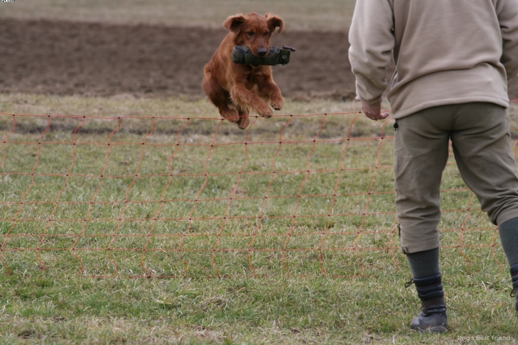 Img 1235945196 860 lg opt