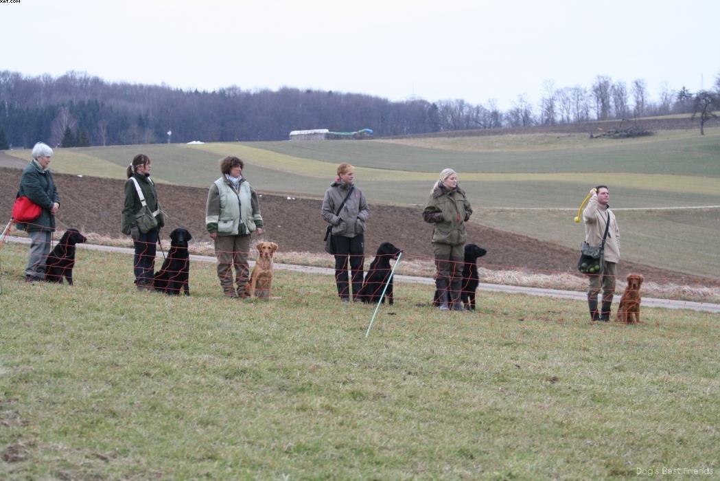 Img 1235945238 383 lg opt