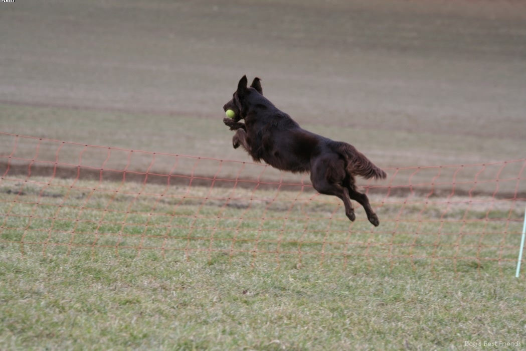 Img 1235945269 377 lg opt