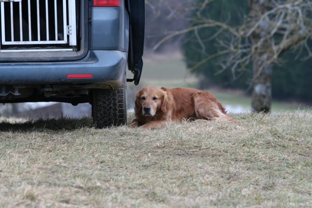 Img 1235945308 396 lg opt