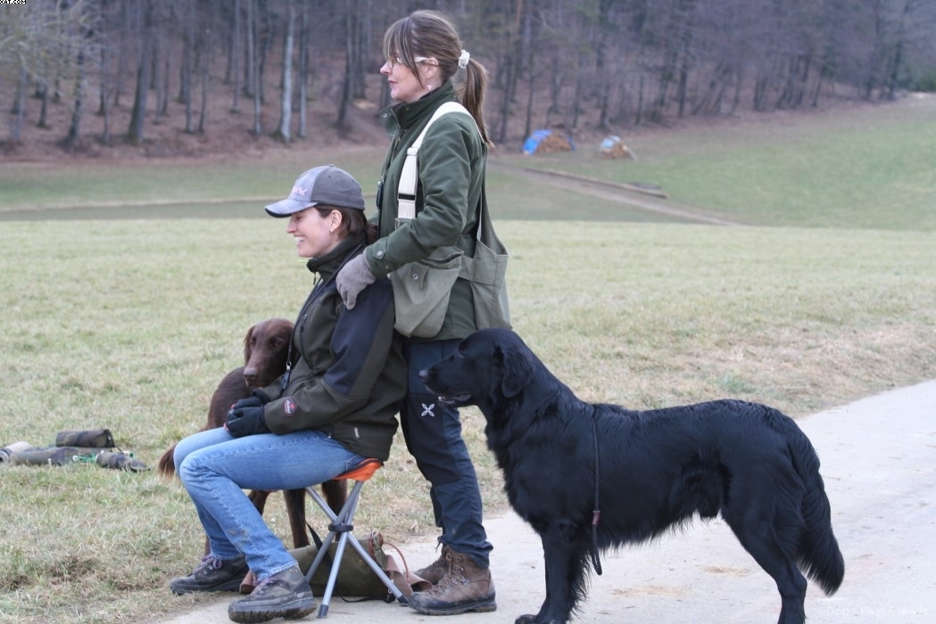 Img 1235945343 317 lg opt