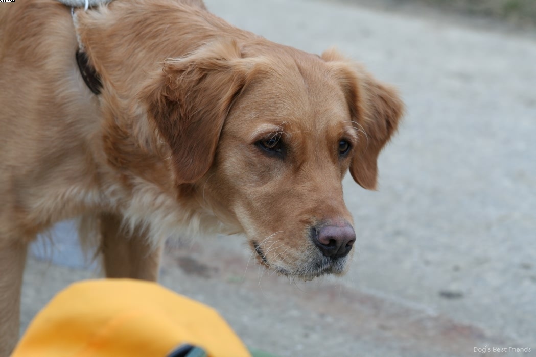 Img 1235945373 691 lg opt