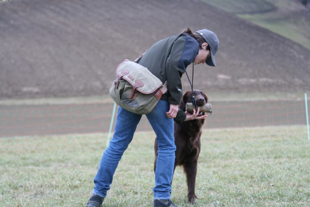 Img 1235945477 269 lg opt