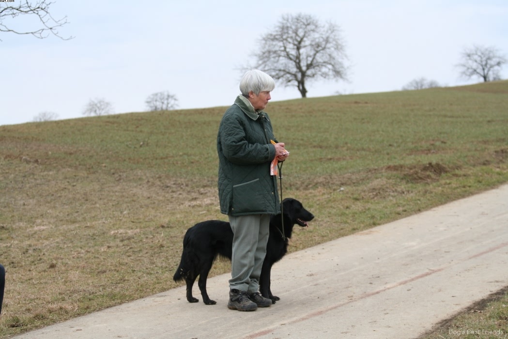 Img 1235945507 928 lg opt