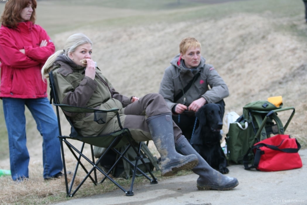 Img 1235945537 26 lg opt