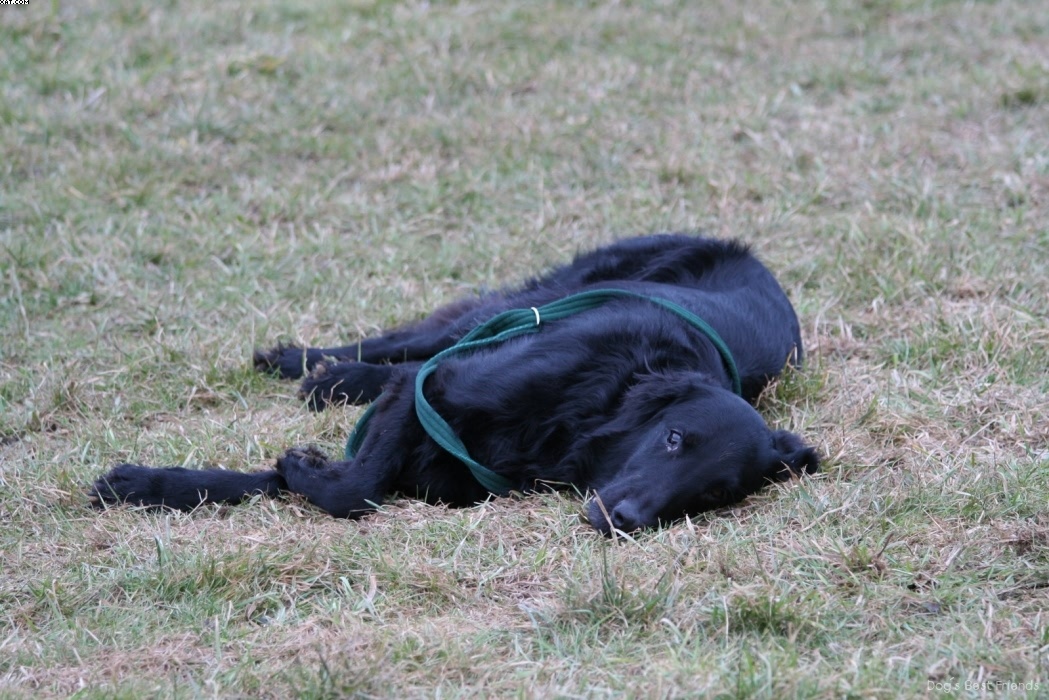 Img 1235945629 207 lg opt