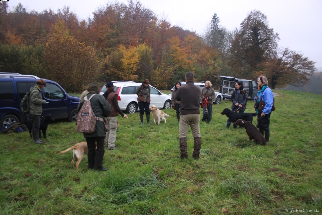 Img 1257422611 198 lg opt