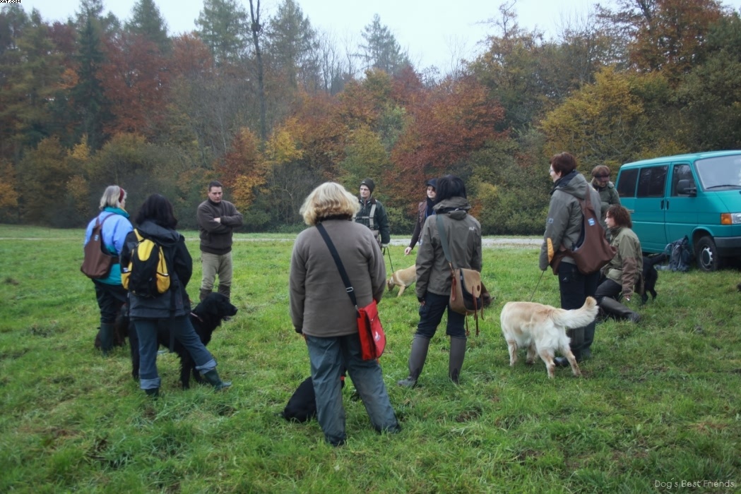 Img 1257422665 35 lg opt