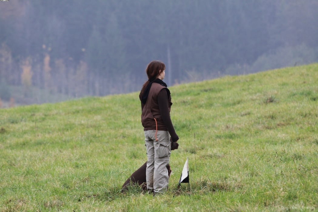 Img 1257422706 813 lg opt