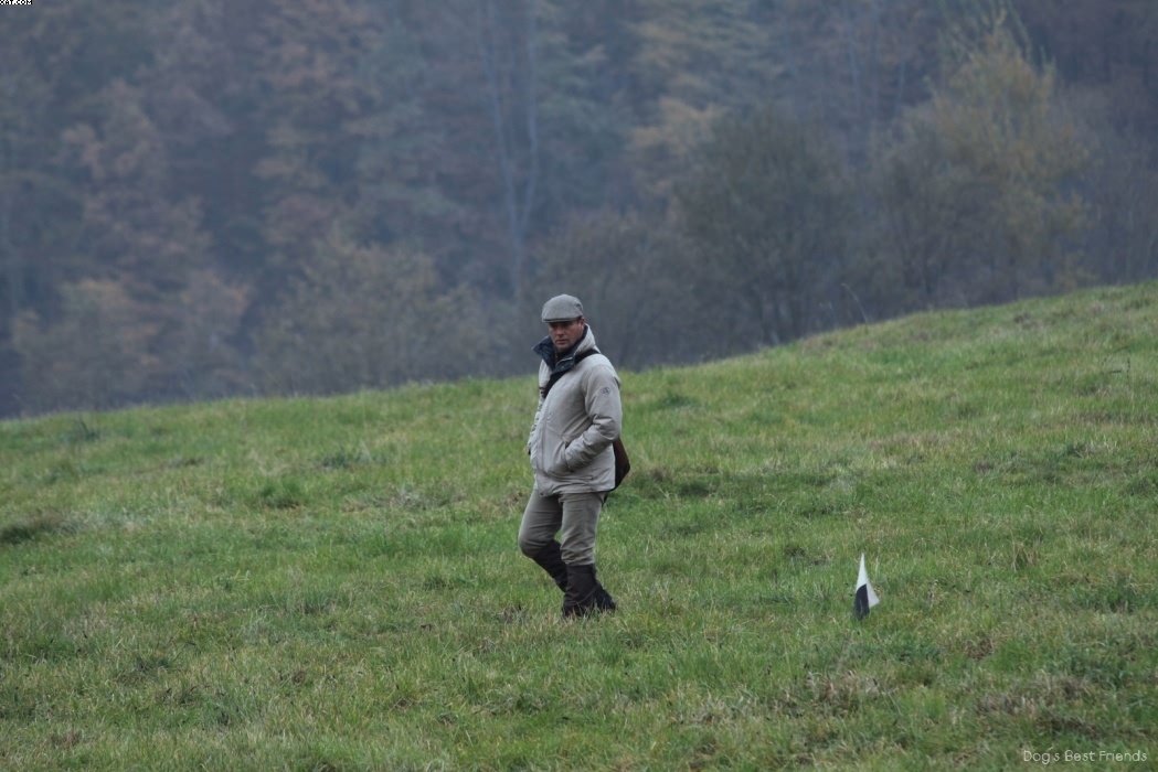 Img 1257422746 887 lg opt