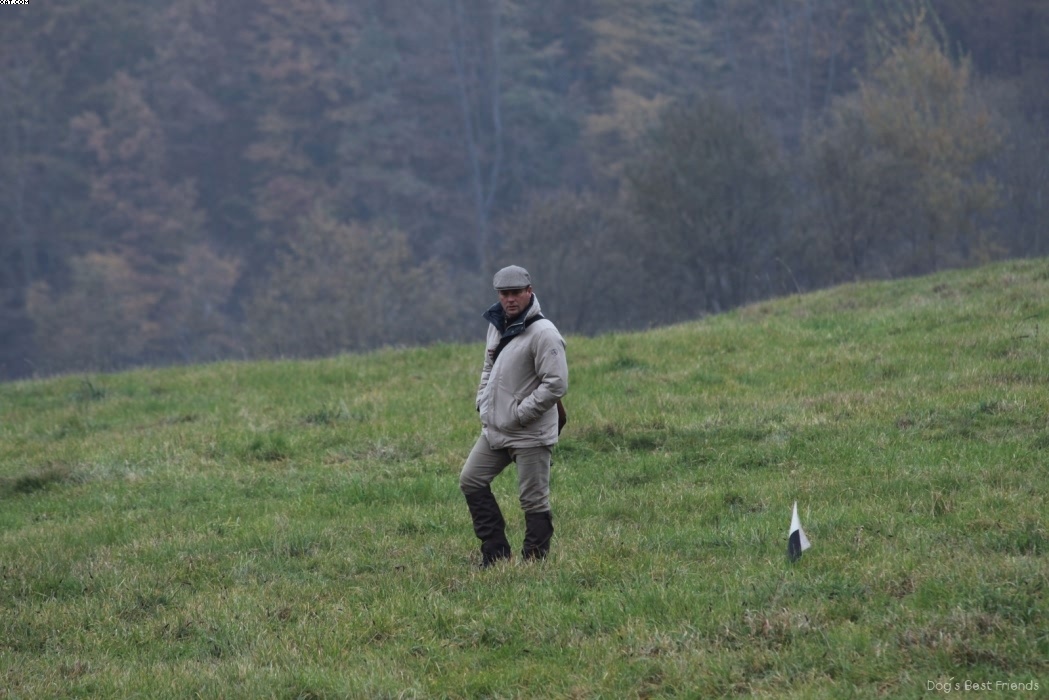 Img 1257422785 811 lg opt