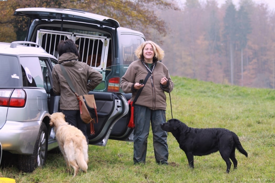 Img 1257422826 11 lg opt