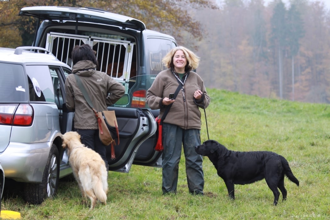 Img 1257422872 246 lg opt