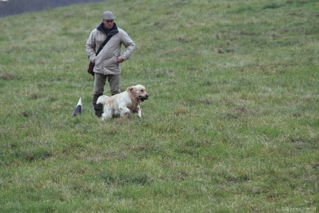 Img 1257422924 592 lg opt