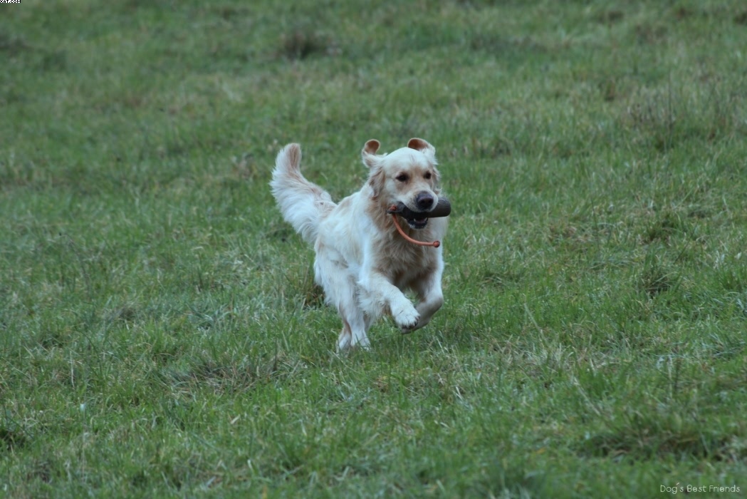 Img 1257422967 424 lg opt