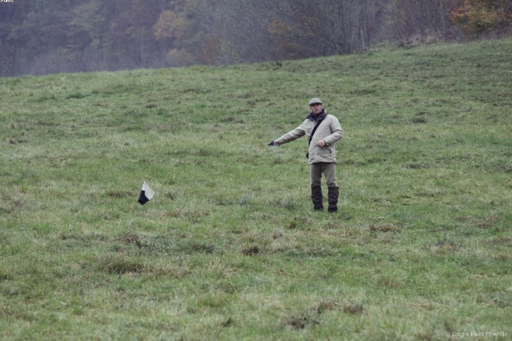 Img 1257423015 929 lg opt