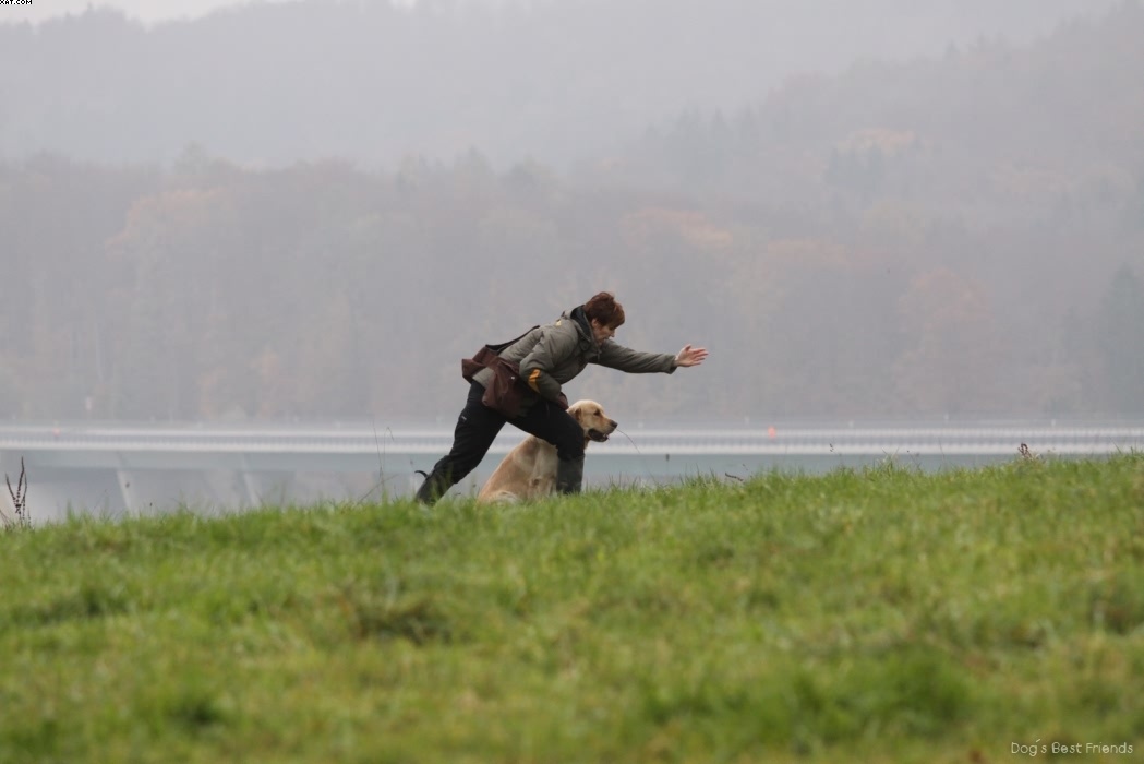 Img 1257423038 906 lg opt