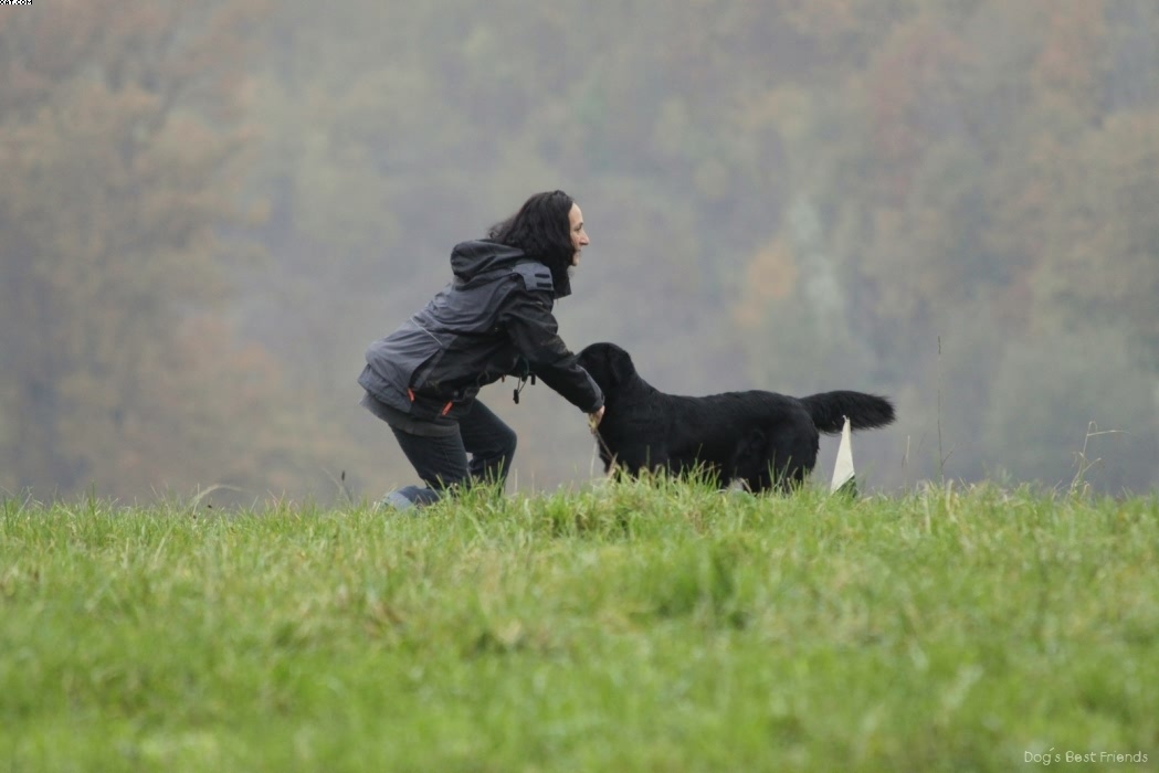 Img 1257423133 603 lg opt