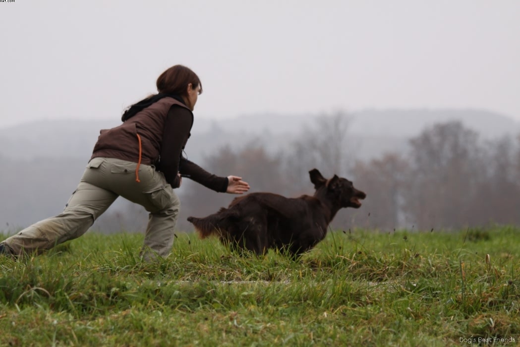 Img 1257423163 913 lg opt